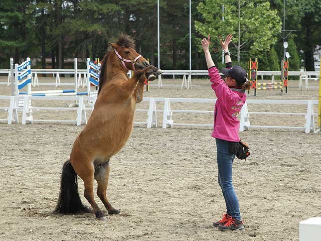 �y�V�����||�k�C���̊ό���߯�|�m�[�U���z�[�X�p�[�N[�ό��ēॊό��޲�ޥ�ό���߯ĥ�l�C��߯ĥ�ό��n����s���]