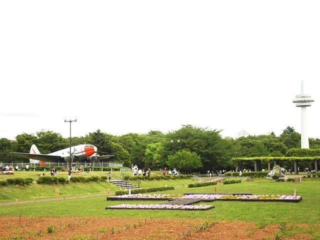 �y�V�����||��ʌ��̊ό���߯�|����q��L�O����[�ό��ēॊό��޲�ޥ�ό���߯ĥ�l�C��߯ĥ�ό��n����s���]