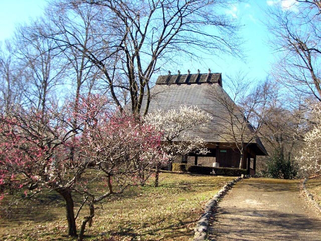 �����~���[�Y�p�[�N�̔~[�ό��ē�]TOP