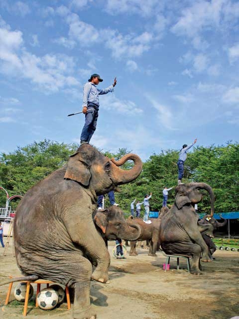 �y�V�����||��t���̊ό���߯�|�s�������̍�[�ό��ēॊό��޲�ޥ�ό���߯ĥ�l�C��߯ĥ�ό��n����s���]