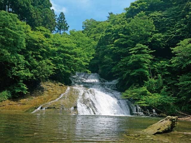 �y�V�����||��t���̊ό���߯�|�{�V�k�J[�ό��ēॊό��޲�ޥ�ό���߯ĥ�l�C��߯ĥ�ό��n����s���]