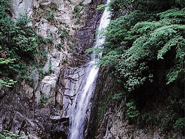 �y�V�����||���Ɍ��̊ό���߯�|�z���̑�[�ό��ēॊό��޲�ޥ�ό���߯ĥ�l�C��߯ĥ�ό��n����s���]