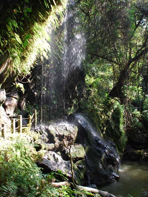 �y�V�����||�����s�̊ό���߯�|��������[�ό��ēॊό��޲�ޥ�ό���߯ĥ�l�C��߯ĥ�ό��n����s���]
