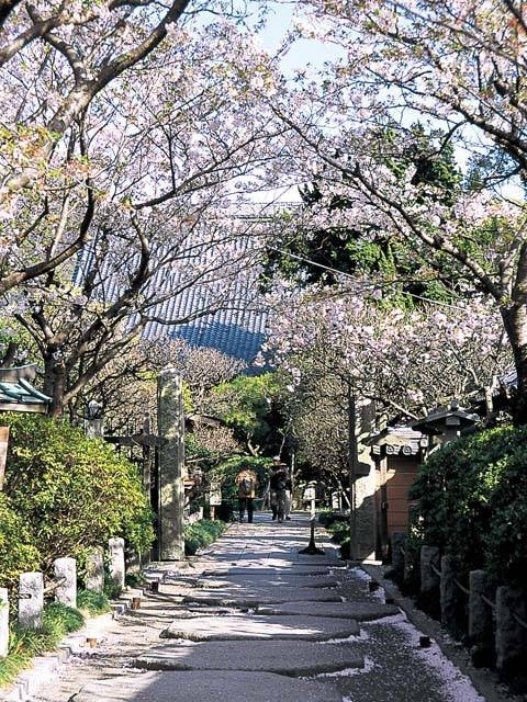 �y�V�����||�_�ސ쌧�̊ό���߯�|�����[�ό��ēॊό��޲�ޥ�ό���߯ĥ�l�C��߯ĥ�ό��n����s���]