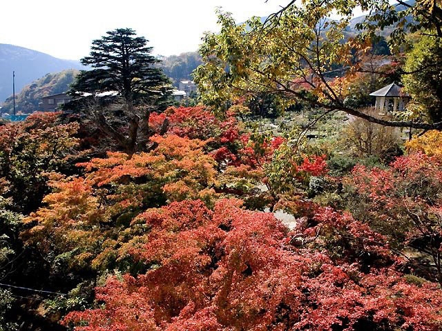 �y�V�����||�_�ސ쌧�̊ό���߯�|��������[�ό��ēॊό��޲�ޥ�ό���߯ĥ�l�C��߯ĥ�ό��n����s���]
