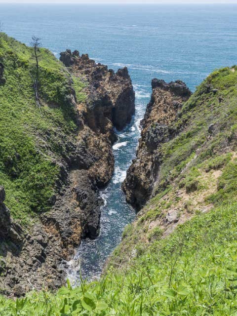 �y�V�����||�ΐ쌧�̊ό���߯�|�`�o�̏M�B��[�ό��ēॊό��޲�ޥ�ό���߯ĥ�l�C��߯ĥ�ό��n����s���]