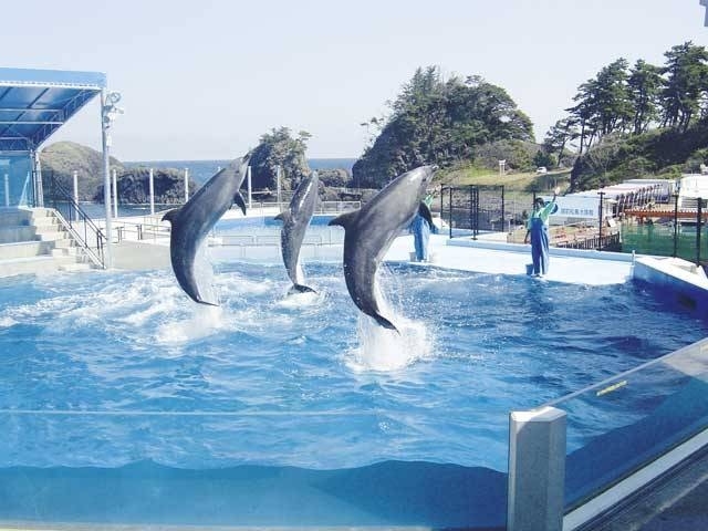 �y�V�����||���䌧�̊ό���߯�|�z�O����������[�ό��ēॊό��޲�ޥ�ό���߯ĥ�l�C��߯ĥ�ό��n����s���]