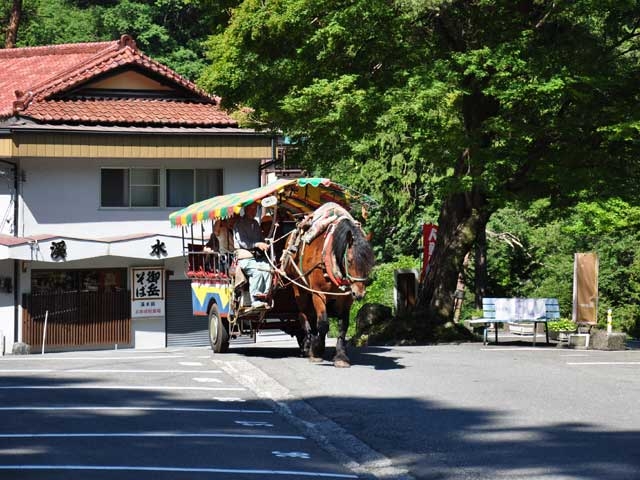 �y�V�����|�R�����̊ό���߯�|�V�Խ�߯�[�ό��ēॊό��޲�ޥ�ό���߯ĥ�l�C��߯ĥ�ό��n����s���]
