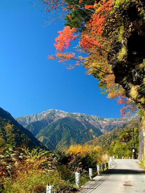�y�V�����||�R�����̊ό���߯�|��A���v�X�ѓ�[�ό��ēॊό��޲�ޥ�ό���߯ĥ�l�C��߯ĥ�ό��n����s���]