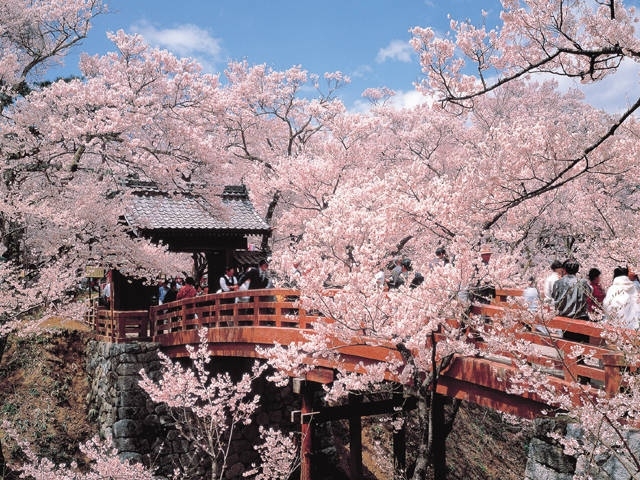 �y�V�����||���쌧�̊ό���߯�|�����隬����[�ό��ēॊό��޲�ޥ�ό���߯ĥ�l�C��߯ĥ�ό��n����s���]