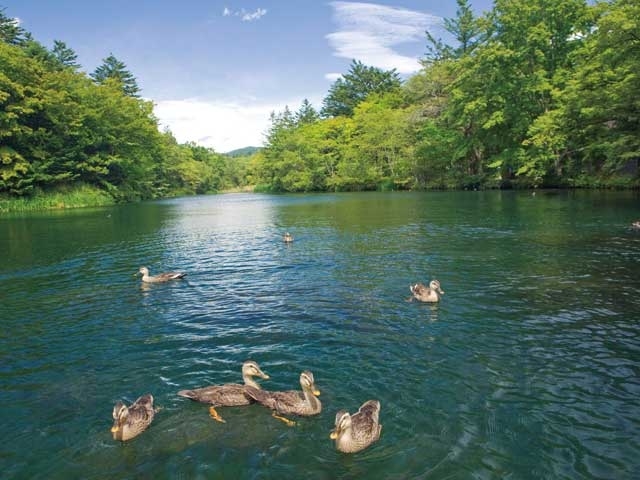 �y�V�����|�y���̊ό���߯�|���R��߯�[�ό��ēॊό��޲�ޥ�ό���߯ĥ�l�C��߯ĥ�ό��n����s���]