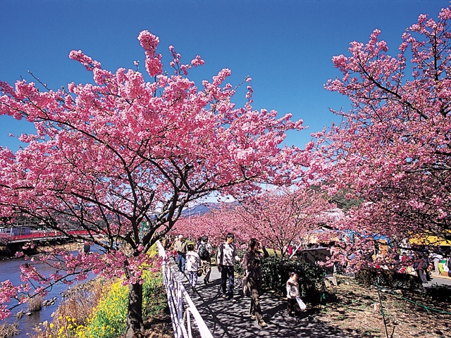 �y�V�����||�É����̊ό���߯�|�͒É���[�ό��ēॊό��޲�ޥ�ό���߯ĥ�l�C��߯ĥ�ό��n����s���]