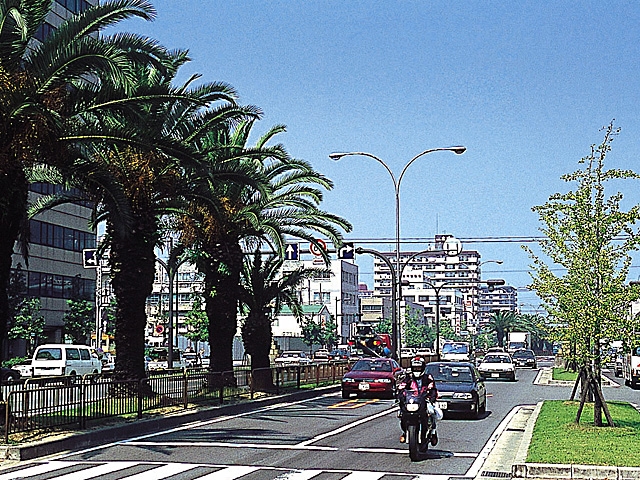 �y�V�����||���{�̊ό���߯�|�t�F�j�b�N�X�ʂ�[�ό��ēॊό��޲�ޥ�ό���߯ĥ�l�C��߯ĥ�ό��n����s���]