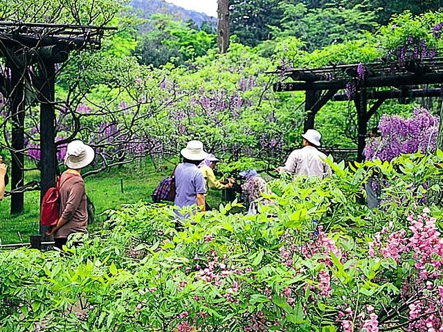 �y�V�����||�̊ό���߯�|�t����Ђ̓�[�ό��ēॊό��޲�ޥ�ό���߯ĥ�l�C��߯ĥ�ό��n����s���]