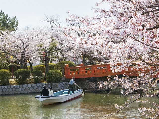 �y�V�����||�O�d���̊ό���߯�|��،���[�ό��ēॊό��޲�ޥ�ό���߯ĥ�l�C��߯ĥ�ό��n����s���]