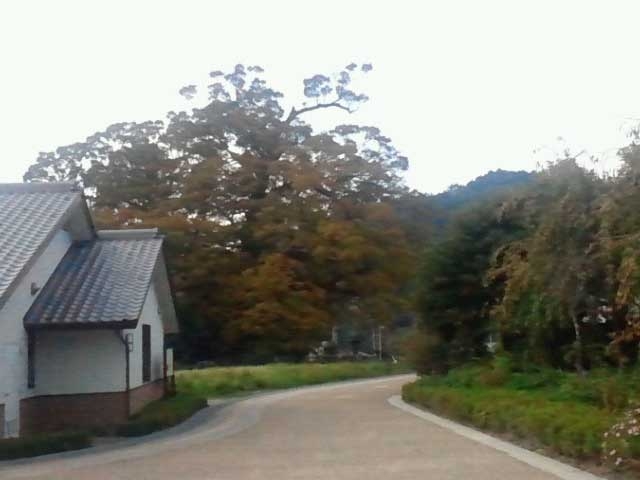�y�V�����||���{�̊ό���߯�|��Ԃ̑�P���L[�ό��ēॊό��޲�ޥ�ό���߯ĥ�l�C��߯ĥ�ό��n����s���]