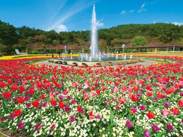�y�V�����||���Ɍ��̊ό���߯�|���Ɍ����t�����[�Z���^�[[�ό��ēॊό��޲�ޥ�ό���߯ĥ�l�C��߯ĥ�ό��n����s���]