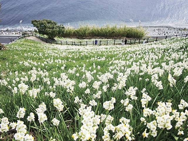 �y�V�����||���Ɍ��̊ό���߯�|�单�␅�勽[�ό��ēॊό��޲�ޥ�ό���߯ĥ�l�C��߯ĥ�ό��n����s���]