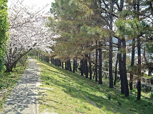 �y�V�����||�a�̎R���̊ό���߯�|�L����h[�ό��ēॊό��޲�ޥ�ό���߯ĥ�l�C��߯ĥ�ό��n����s���]