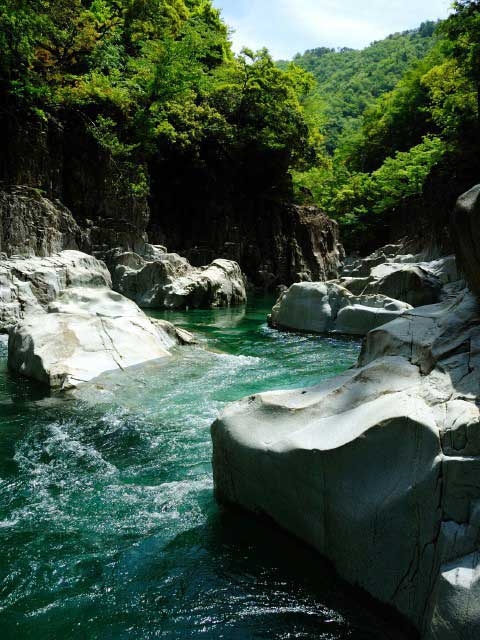 �y�V�����||�������̊ό���߯�|�\�C����[�ό��ēॊό��޲�ޥ�ό���߯ĥ�l�C��߯ĥ�ό��n����s���]