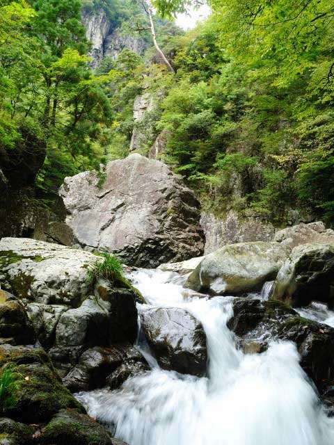 �y�V�����||�������̊ό���߯�|���C����[�ό��ēॊό��޲�ޥ�ό���߯ĥ�l�C��߯ĥ�ό��n����s���]