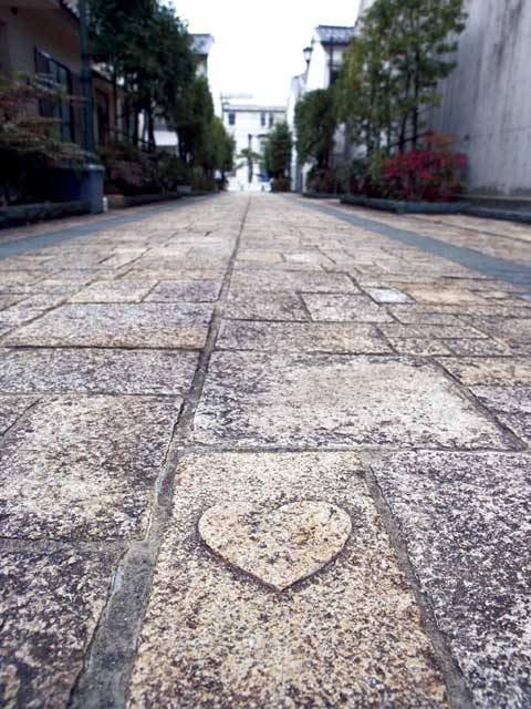 �y�V�����||�������̊ό���߯�|�n�[�g�̐Ώ�[�ό��ēॊό��޲�ޥ�ό���߯ĥ�l�C��߯ĥ�ό��n����s���]