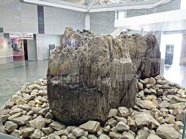 �y�V�����||�������̊ό���߯�|���������Ñ�o�_���j������[�ό��ēॊό��޲�ޥ�ό���߯ĥ�l�C��߯ĥ�ό��n����s���]