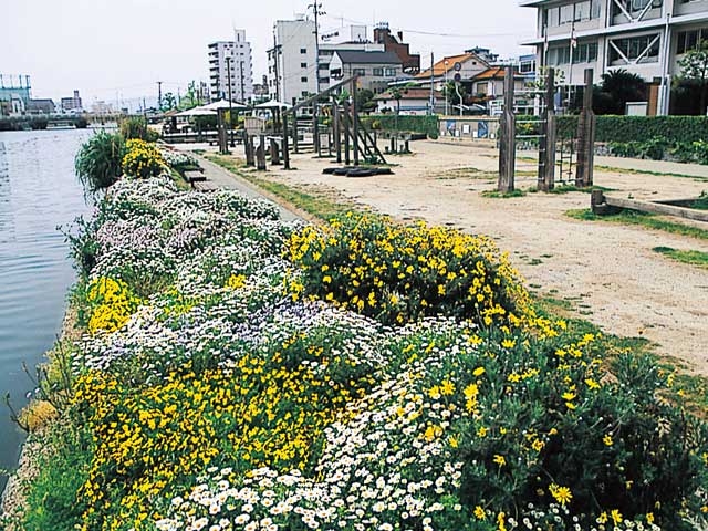 �y�V�����||�������̊ό���߯�|�Ђ傤����[�ό��ēॊό��޲�ޥ�ό���߯ĥ�l�C��߯ĥ�ό��n����s���]