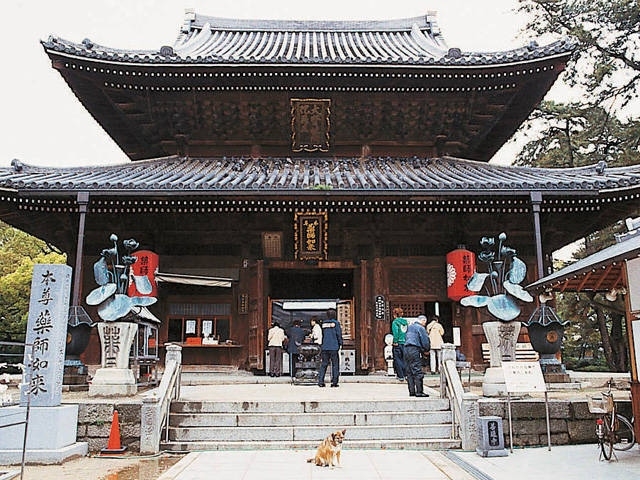 �y�V�����||���쌧�̊ό���߯�|�P�ʎ�[�ό��ēॊό��޲�ޥ�ό���߯ĥ�l�C��߯ĥ�ό��n����s���]