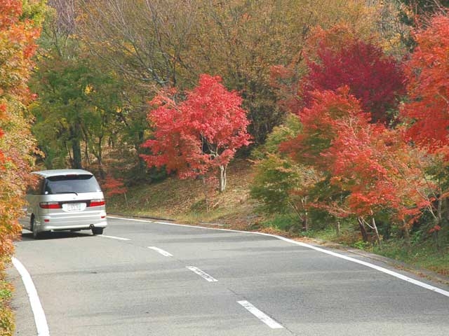 �y�V�����||���쌧�̊ό���߯�|�u���[���C���i�����k�������j[�ό��ēॊό��޲�ޥ�ό���߯ĥ�l�C��߯ĥ�ό��n����s���]