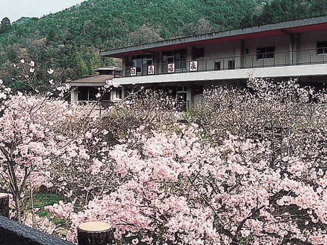 �y�V�����||���쌧�̊ό���߯�|��������[�ό��ēॊό��޲�ޥ�ό���߯ĥ�l�C��߯ĥ�ό��n����s���]