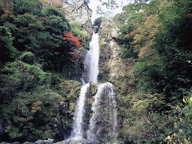 �y�V�����||���m���̊ό���߯�|�M�̑�[�ό��ēॊό��޲�ޥ�ό���߯ĥ�l�C��߯ĥ�ό��n����s���]