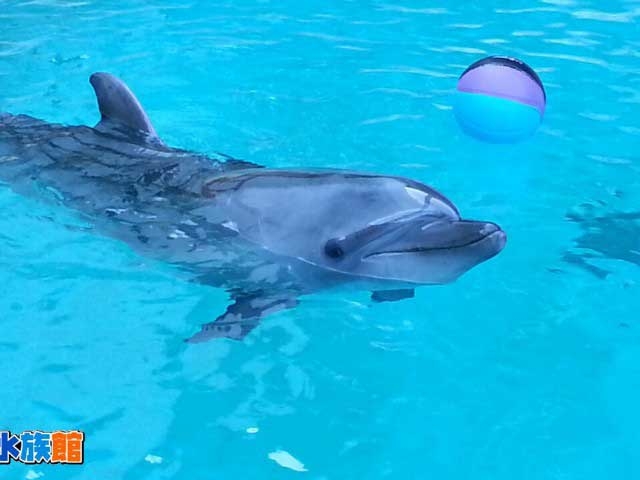 �y�V�����||���m���̊ό���߯�|�j�l������[�ό��ēॊό��޲�ޥ�ό���߯ĥ�l�C��߯ĥ�ό��n����s���]