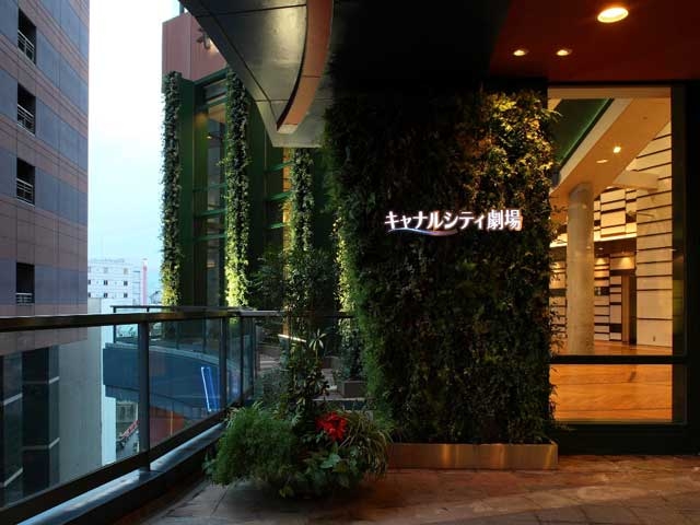 �y�V�����||�������̊ό���߯�|�L���i���V�e�B����[�ό��ēॊό��޲�ޥ�ό���߯ĥ�l�C��߯ĥ�ό��n����s���]