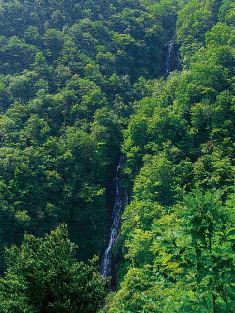 �y�V�����||�{�錧�̊ό���߯�|�ꌩ��[�ό��ēॊό��޲�ޥ�ό���߯ĥ�l�C��߯ĥ�ό��n����s���]