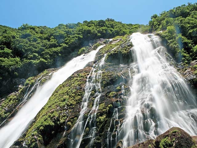 �y�V�����||���������̊ό���߯�|���̑�[�ό��ēॊό��޲�ޥ�ό���߯ĥ�l�C��߯ĥ�ό��n����s���]