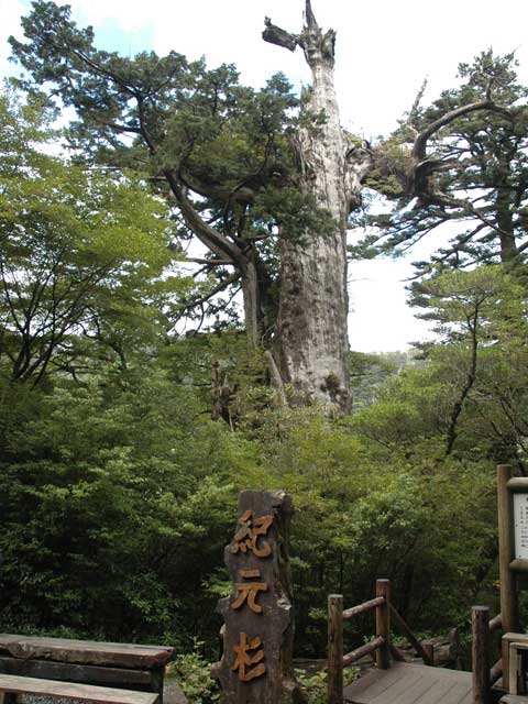 �y�V�����||�̊ό���߯�|�I����[�ό��ēॊό��޲�ޥ�ό���߯ĥ�l�C��߯ĥ�ό��n����s���]