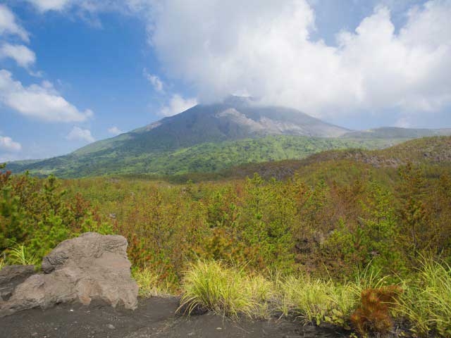 �y�V�����||���������̊ό���߯�|�L���n��W�]��[�ό��ēॊό��޲�ޥ�ό���߯ĥ�l�C��߯ĥ�ό��n����s���]