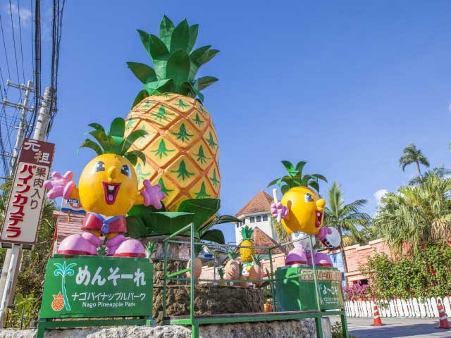 �y�V�����||���ꌧ�̊ό���߯�|�i�S�p�C�i�b�v���p�[�N[�ό��ēॊό��޲�ޥ�ό���߯ĥ�l�C��߯ĥ�ό��n����s���]