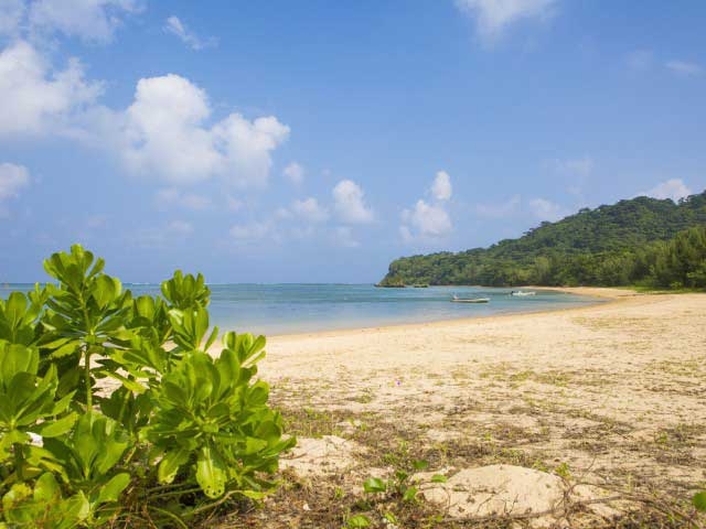 �y�V�����||�̊ό���߯�|���\��[�ό��ēॊό��޲�ޥ�ό���߯ĥ�l�C��߯ĥ�ό��n����s���]