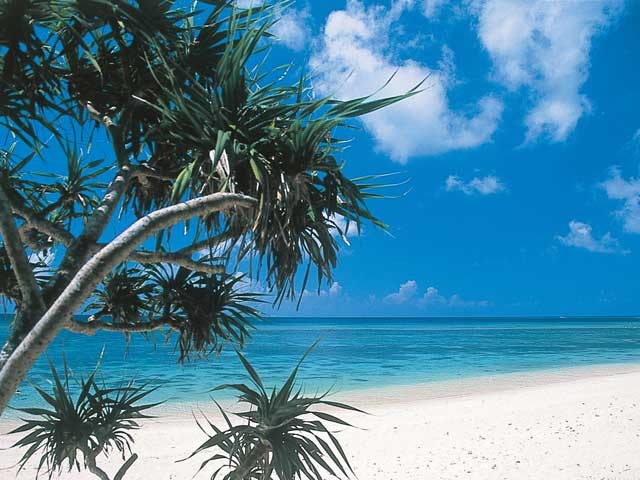 �y�V�����||���ꌧ�̊ό���߯�|�Č��L�����v��[�ό��ēॊό��޲�ޥ�ό���߯ĥ�l�C��߯ĥ�ό��n����s���]