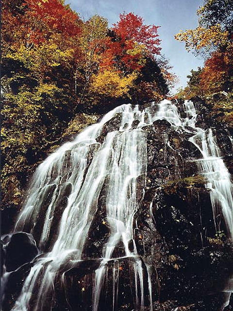 �y�V�����||�R�`���̊ό���߯�|����ȃX�J�C�o���[[�ό��ēॊό��޲�ޥ�ό���߯ĥ�l�C��߯ĥ�ό��n����s���]