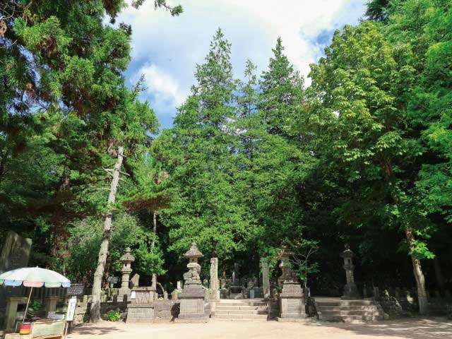 �y�V�����||�������̊ό���߯�|�ѐ��R[�ό��ēॊό��޲�ޥ�ό���߯ĥ�l�C��߯ĥ�ό��n����s���]