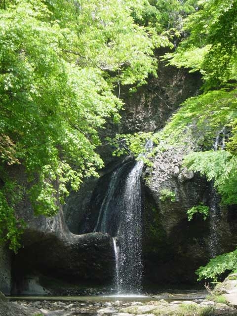 �y�V�����||��錧�̊ό���߯�|���҂̑�[�ό��ēॊό��޲�ޥ�ό���߯ĥ�l�C��߯ĥ�ό��n����s���]