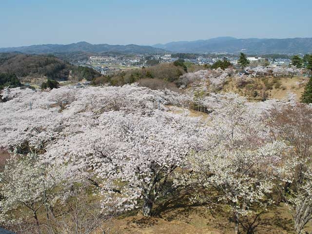 �y�V�����||��錧�̊ό���߯�|���R����[�ό��ēॊό��޲�ޥ�ό���߯ĥ�l�C��߯ĥ�ό��n����s���]