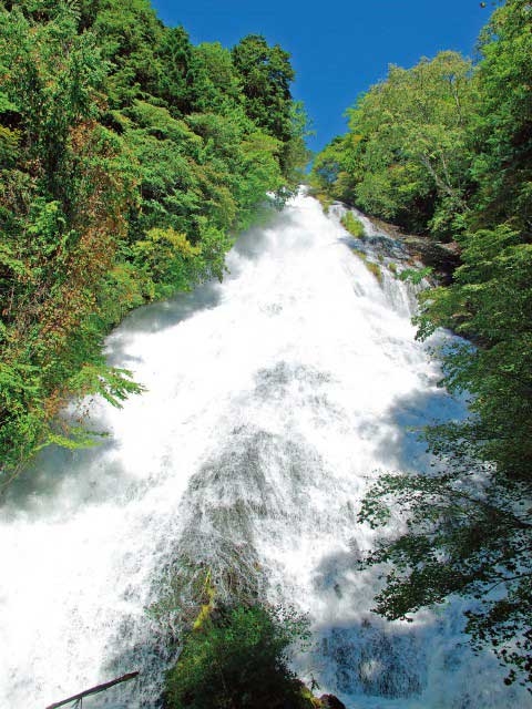 �y�V�����|�����E���T���΁E�������E���s�̊ό���߯�|�V�Խ�߯�[�ό��ēॊό��޲�ޥ�ό���߯ĥ�l�C��߯ĥ�ό��n����s���]