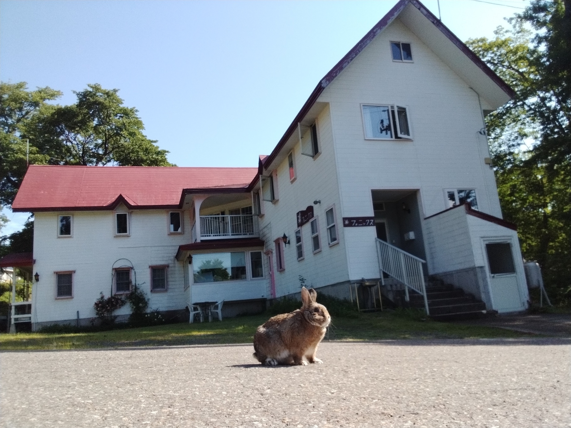 �y���V�����@�t�F�j�b�N�X