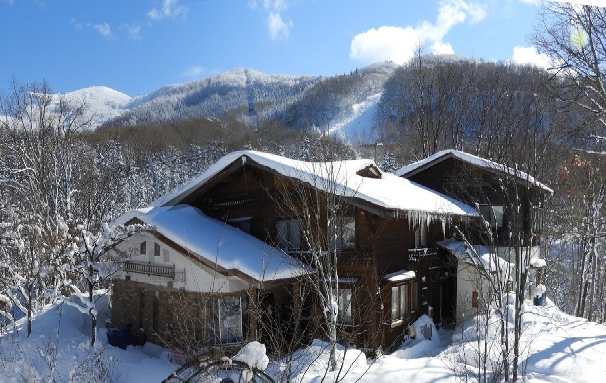 �y���V������ᗬ��