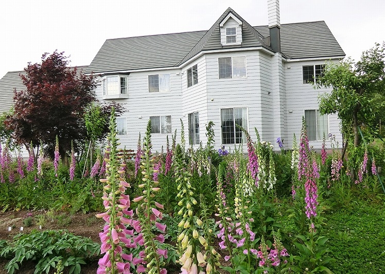 �Q�X�g�n�E�X�@�ɓ�