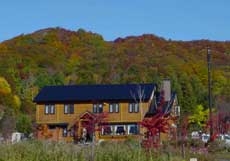 �y���V�����@Hearty(�n�[�e�B�j